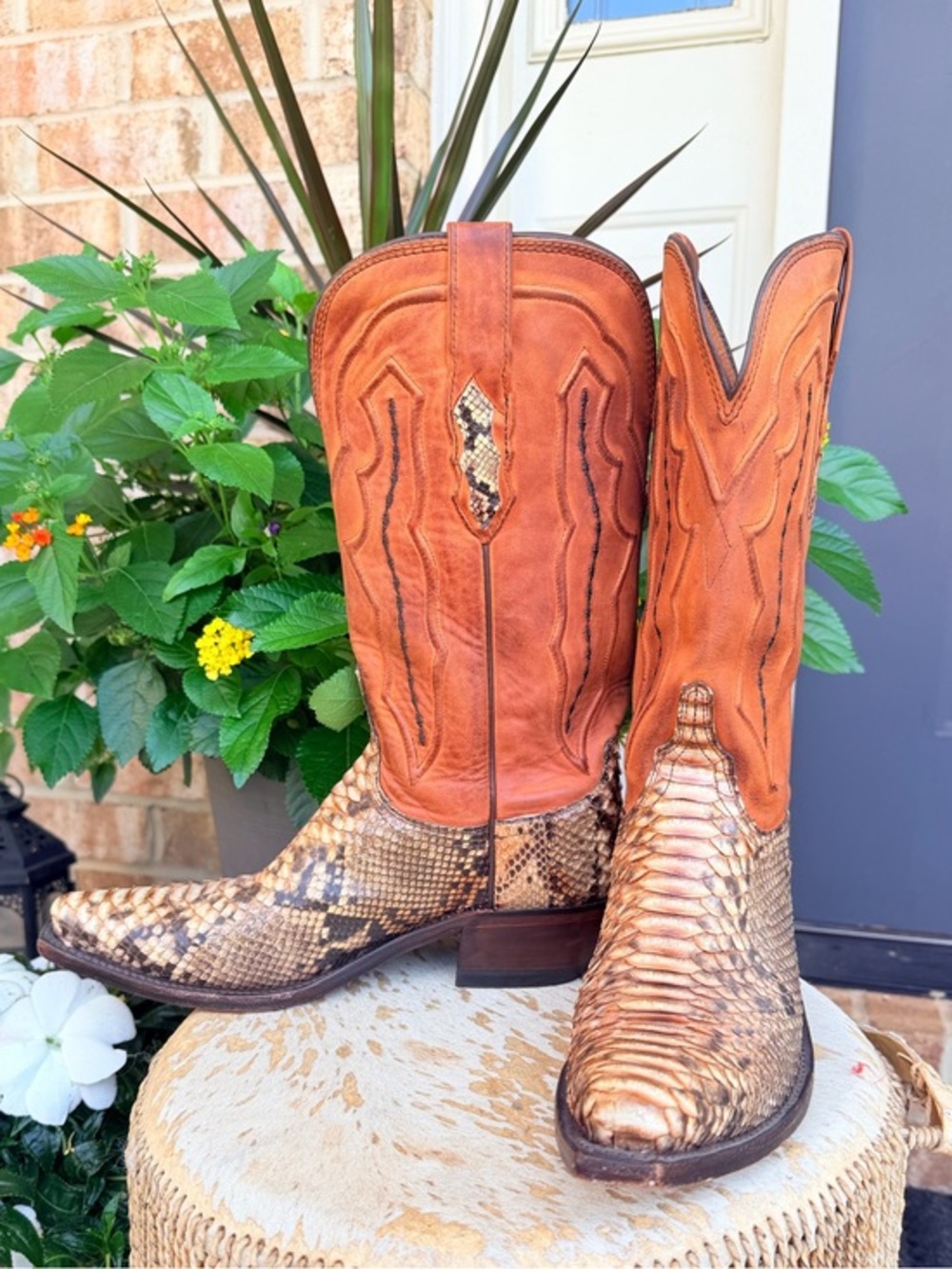 RARE Lucchese Python Snakeskin Brown Leather Pull On Snip Toe Cowboy Boots 8 - Picture 4 of 15